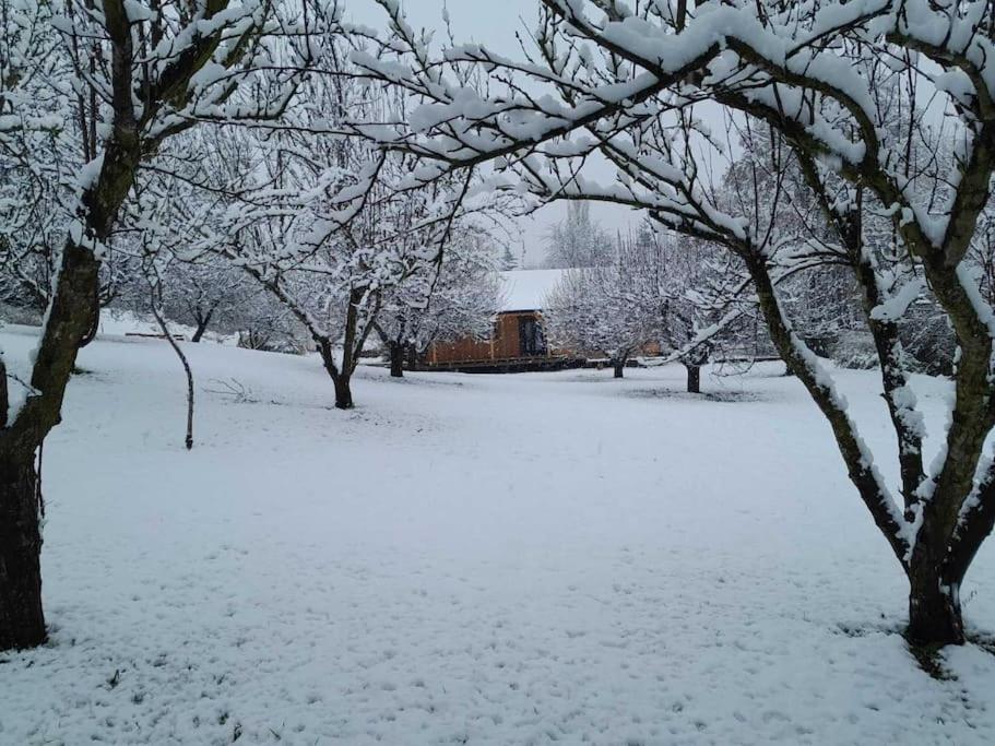 Nica Wood Villa Sremska Kamenica Екстериор снимка
