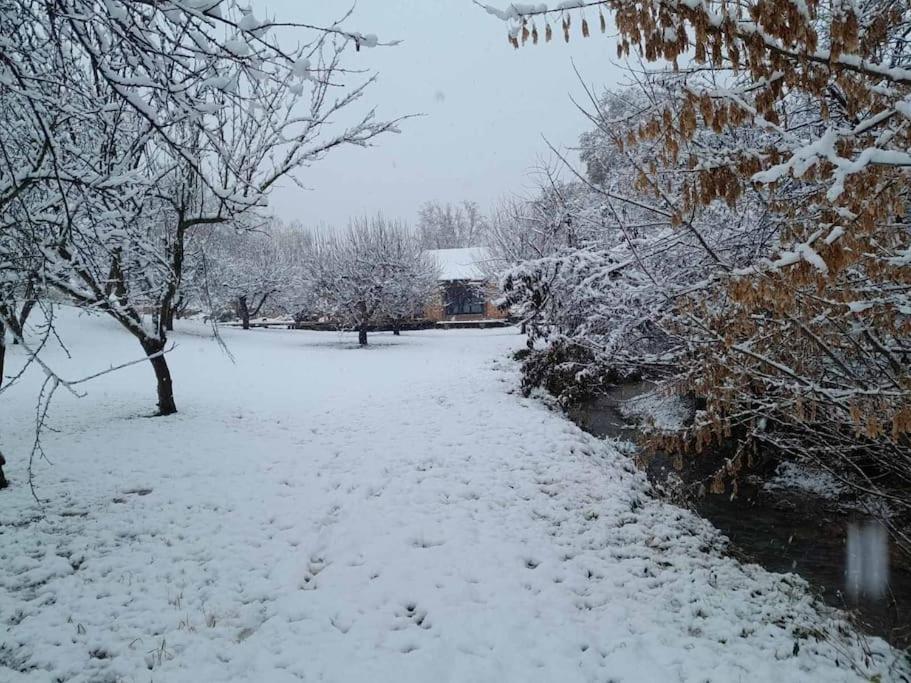 Nica Wood Villa Sremska Kamenica Екстериор снимка