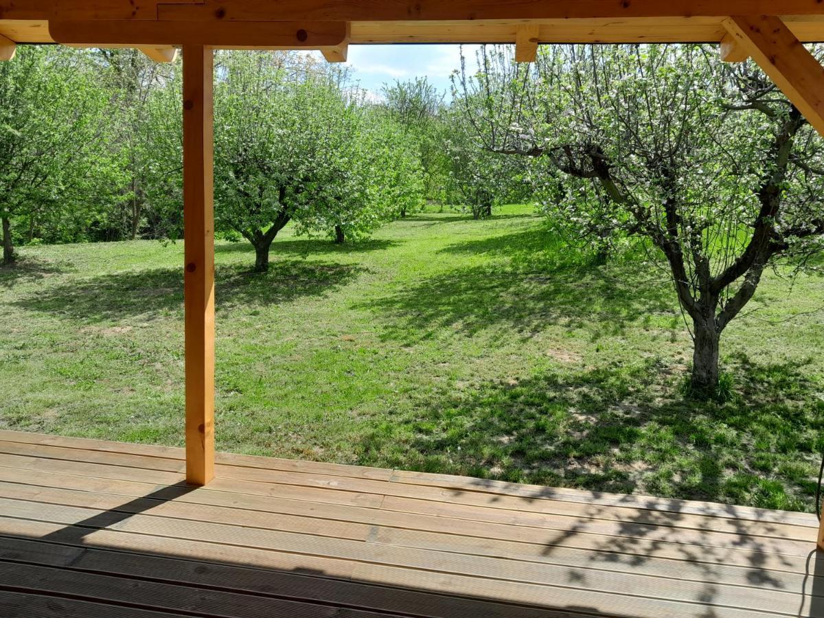 Nica Wood Villa Sremska Kamenica Екстериор снимка