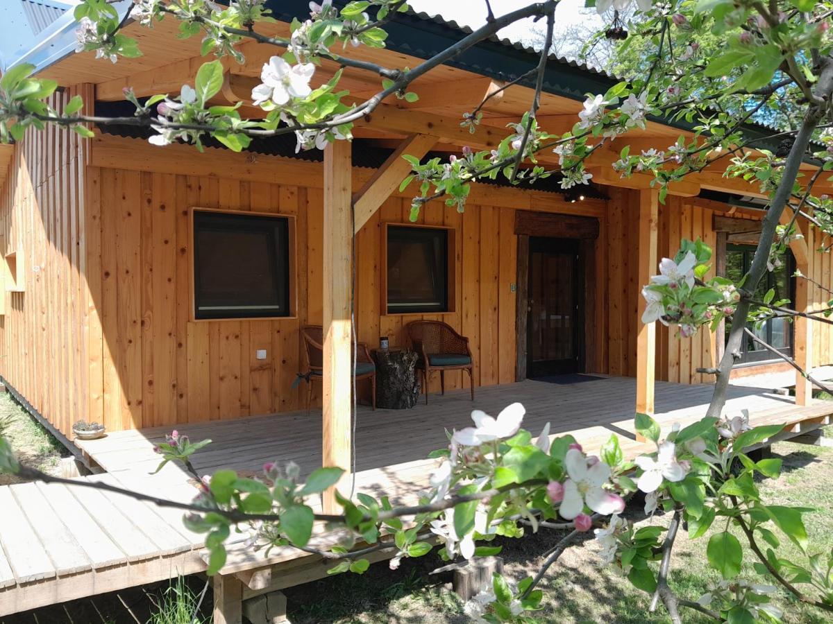 Nica Wood Villa Sremska Kamenica Екстериор снимка