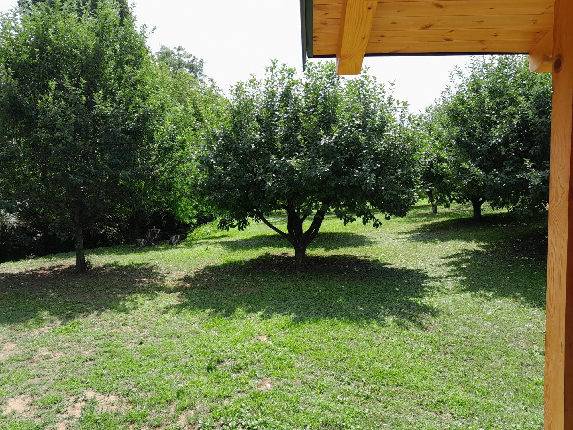 Nica Wood Villa Sremska Kamenica Екстериор снимка