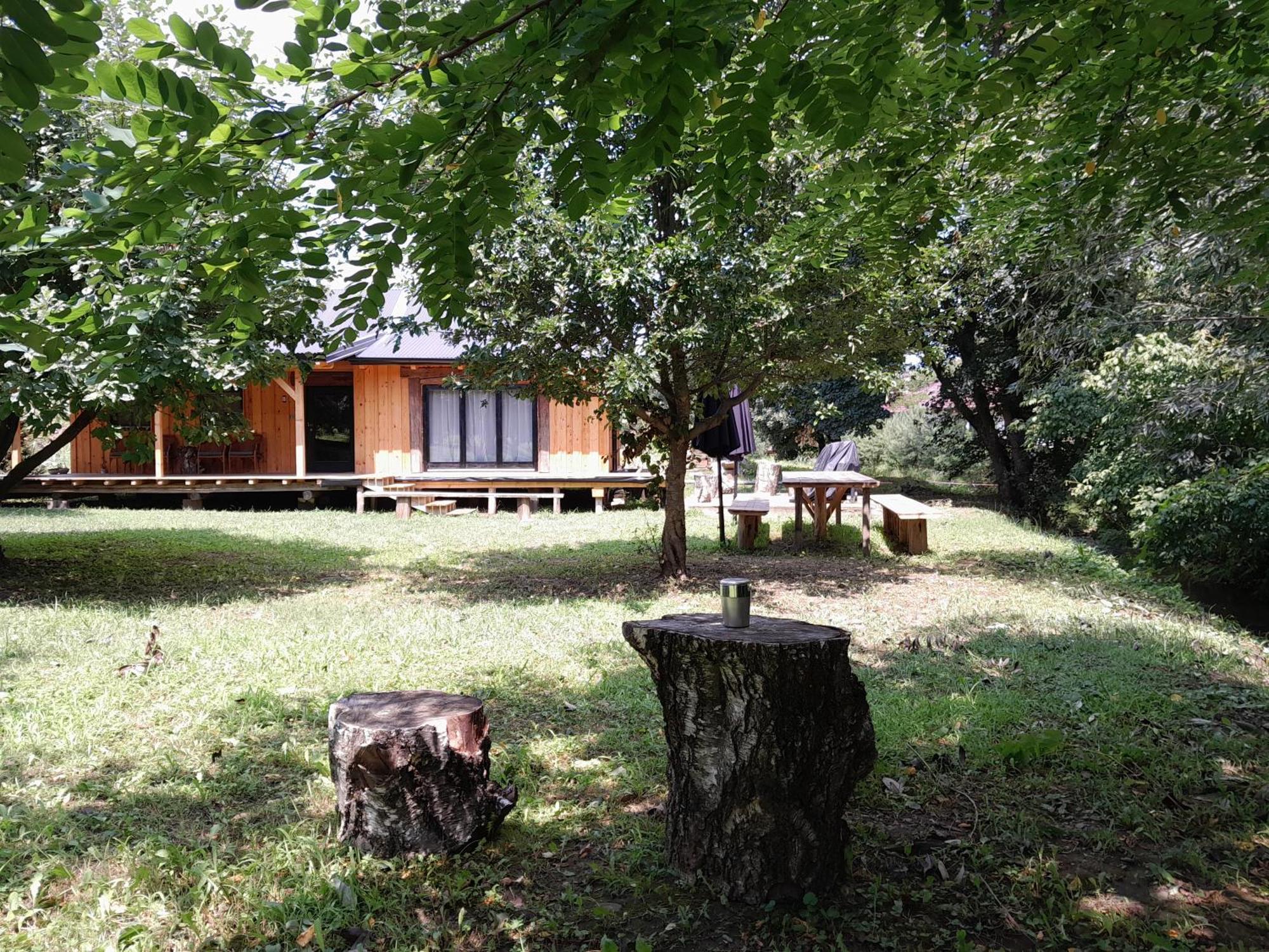Nica Wood Villa Sremska Kamenica Екстериор снимка